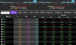 Cổ phiếu dầu khí tăng mạnh đi ngược thị trường