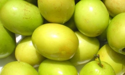 Táo ta có tác dụng gì?