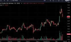 Vì sao cổ phiếu VNM bị bán tháo?