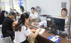 Chấm dứt thu, nộp lệ phí môn bài từ 2026
