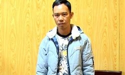 Liên tiếp bắt giữ các vụ vận chuyển động vật quý hiếm