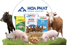 285 triệu cổ phiếu HPA chuẩn bị chào sàn Hose