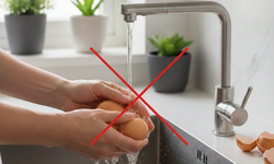 Tại sao rửa trứng trước khi bảo quản là sai lầm và có thể gây nguy hiểm?