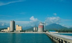 Cổ phiếu HVX của Vicem Hải Vân bị hủy niêm yết bắt buộc