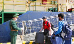 Hải Phòng tăng cường giám sát phòng, chống bệnh do virus Nipah