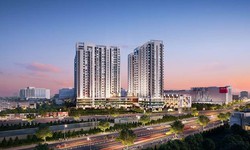 Xử phạt Công ty Cổ phần Đầu tư Tấn Hưng