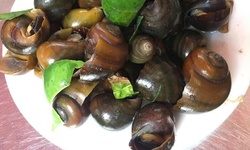 Cách chọn ốc làm sẵn ngon sạch, không 'ngậm' hóa chất cho bữa cơm gia đình