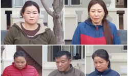Triệt phá đường dây lừa bán phụ nữ qua biên giới
