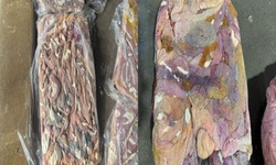 Phát hiện cơ sở chế biến thực phẩm bẩn, thu giữ hơn 60 tấn lòng lợn đông lạnh bốc mùi