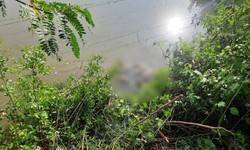 Thông tin đau lòng vụ nữ sinh bị sát hại ở Cà Mau, kẻ ác làm điều phẫn nộ trước khi ra tay