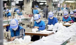 Thu nhập bình quân của người lao động năm 2025 đạt 8,4 triệu đồng/tháng