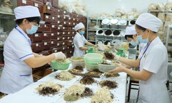 Cần biết: Quy định mới nhất của Bộ Y tế về chức năng, cơ cấu tổ chức của bệnh viện Y học cổ truyền