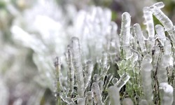 Băng giá phủ trắng đỉnh Phia Oắc ở Cao Bằng