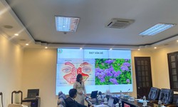 Nghiệm thu thành công đề tài nghiên cứu dung dịch hỗ trợ điều trị viêm mũi xoang từ cây ngũ sắc