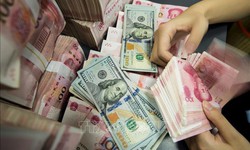 Tỷ giá hôm nay 8/1: Đồng USD tăng giá, NDT đảo chiều giảm