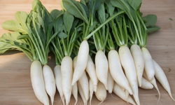 Lá củ cải trắng có tác dụng gì? Khám phá nguồn dinh dưỡng bị bỏ quên