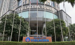 SHS khuyến nghị tích cực đối với cổ phiếu VGC và SIP