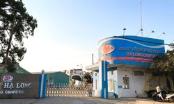 Công ty CP Đồ hộp Hạ Long lên tiếng về sự cố nguyên liệu vi phạm an toàn thực phẩm