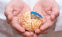 Nguyên nhân phổ biến gây đột quỵ và “thời gian vàng” trong cấp cứu