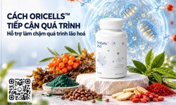 Cách Oricells™ tiếp cận quá trình hỗ trợ làm chậm quá trình lão hóa