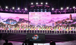 Bốn nhan sắc Hải Phòng vào Top 25 Hoa hậu Việt Nam 2026