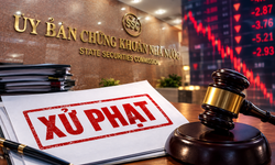 Công ty TNHH Đầu tư Phúc Hậu vi phạm công bố thông tin liên quan trái phiếu