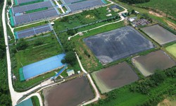 Phạt hơn 663 triệu đồng các trang trại nuôi lợn vi phạm môi trường ở Thanh Hóa
