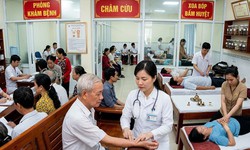 Chiến lược quốc gia phát triển nền y học cổ truyền Việt Nam giai đoạn 2030-2045