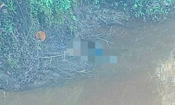 Nam thanh niên ở Huế tử vong sau một đêm rời nhà