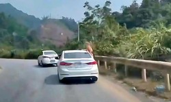 Để khách 'treo mình' bên cửa ô tô đang chạy, tài xế bị phạt nặng