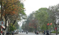 Miền Bắc nắng hanh 34 độ kéo dài, sáng sớm có sương mù nhẹ