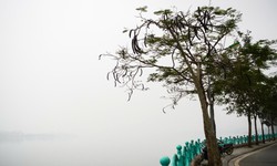 Chuyên gia nhận định thời điểm miền Bắc đón không khí lạnh