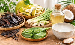 Mẹo chăm sóc tóc khô xơ bằng nguyên liệu thảo mộc tại nhà