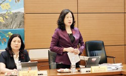 Bộ trưởng Đào Hồng Lan: Có những dự án chưa hoàn thành giải ngân nhưng đã hoạt động hiệu quả