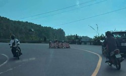 Lập biên bản xử phạt 6 phụ nữ ngồi giữa đường đèo Hải Vân chụp ảnh