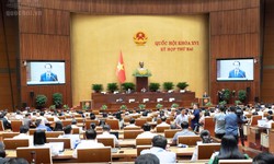 Đề xuất siết điều kiện nhận con nuôi, ngăn chặn tình trạng môi giới trục lợi