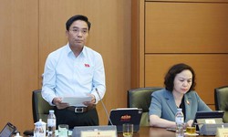 Mọi hành vi môi giới nhận con nuôi trái pháp luật đều phải bị nghiêm cấm