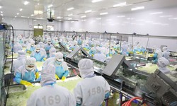 Công ty Cổ phần Thực phẩm G.C bị phạt 425 triệu đồng