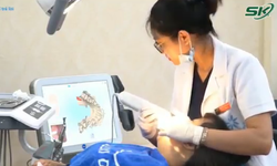 Bộ Y tế đề xuất 8 địa phương phát triển các điểm đến du lịch y tế