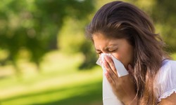 Vì sao đổi nơi sinh sống vẫn không thể trốn chạy khỏi những cơn dị ứng?