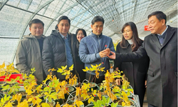 Đoàn công tác Bộ Y tế khảo sát mô hình phát triển dược liệu tại Trung Quốc, thúc đẩy hợp tác đầu tư, nghiên cứu và chuyển giao công nghệ