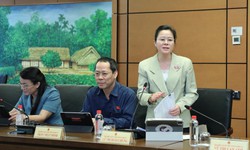 ĐBQH đề xuất lập lại Chi cục ATTP để nâng cao hiệu quả quản lý