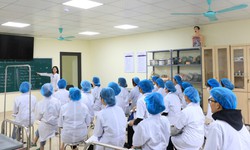 Công nhận nhiều loại bằng cấp, chứng chỉ mới cho giáo viên