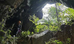 Hố sụt khổng lồ trong Vườn Quốc gia Phong Nha - Kẻ Bàng