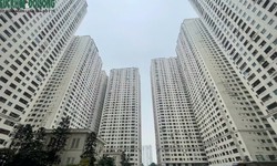 Hà Nội chốt phương án, dự kiến phá dỡ 3.900 căn hộ liên quan Tập đoàn Mường Thanh