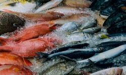7 loại cá tốt cho sức khỏe nên ăn thường xuyên