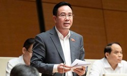 ĐBQH cảnh báo hình ảnh trẻ em bị ghép vào nội dung nhạy cảm trên mạng