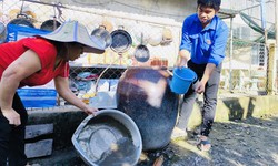 Sốt xuất huyết và tay chân miệng diễn biến phức tạp tại TPHCM