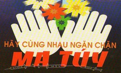 Tập trung nguồn lực thực hiện Chương trình mục tiêu quốc gia phòng, chống ma túy