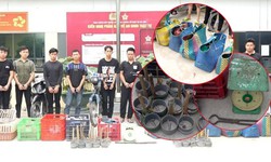 Bắt trộm 2.700 con mèo ở TPHCM, 12 đối tượng bị khởi tố